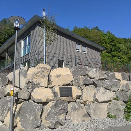 Ferienhaus Schieferterrasse - Waldsee Rieden - المظهر الخارجي الصورة